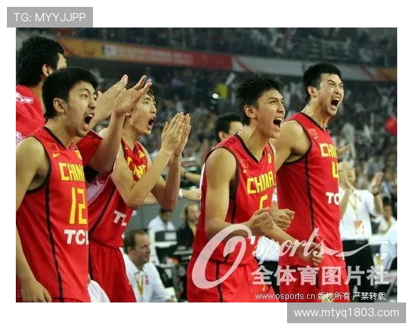 与杨磊畅谈篮球生涯的起伏与梦想追逐之路